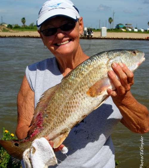  - Cheryl-Daniels-of-Cypress-TX-took-this-nice-26-inch-slot-red-on-shrimp