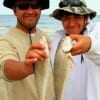 John Bustes surf-fished with his son to catch these bull whiting.