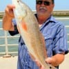 James Costello of Cushing TX took this nice red on finger mullet.