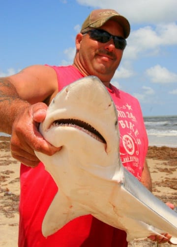 Shark wrangler Bucky Crouthers of Liberty surf landed this 50inch black  tip. | Crystal Beach Local News, Get the latest Scoop on Bolivar Peninsula,  Texas, Resort community on the Gulf of Mexico
