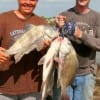 Justin Smith and former Marine Sgt James Powers of Evadale, TX took these nice drum on shrimp.