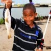 8yr old Jacoby Guidry of Houston caught this nice whiting on shrimp.