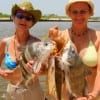 Terrie Speciale and Julie Corry of Dickinson, TX took these drum and sand trout on cut bait.