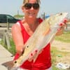 Marlee Harris of Tyler landed this nice red on live shrimp.