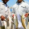 Fishin buds Lawrence Godfrey and Coy Sidney of Houston took these reds-trout-and drum on shrimp.
