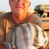 Marine VetRoger Pate of Channel View, TX boxed this nice Angel Fish using shrimp.