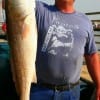 This 35inch red hit a whiting fished by Paul McCarroll from Dayton, TX.
