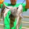 Ronnie Corona of Dayton, TX fished live shrimp to take this stringer of drum.