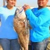 Anthony and Gabby Castro landed and released this HUGE drum on shrimp.