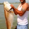 Chris Bay of Houston wrangled up this 39inch tagger bull red fishing a live piggy perch.
