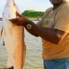 Calvin Jackson of Houston caught this 36inch tagger red fishing shrimp.