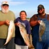 The Flanagan Family of Tyler TX took these nice reds and drum nightfishing with shrimp.