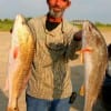 Conroe angler Alton Thorpe fishing with finger mullet took these big reds.