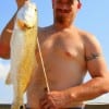 Jeremy Leeth of Kingwood, TX nabbed this 22inch red on cut lady fish.