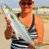 Rose Placette of Mauriceville, TX nabbed this hefty spanish mackerel on finger mullet.