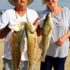 Hank and Polly Thompson of Cypress, TX landed these 3 reds on finger mullet.