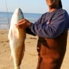 Bo Charles of Houston caught this 32inch tagger red from the surf on cut-bait.