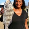 Tiratha Burk of Houston took this keeper eater drum on cut bait.