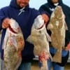 Fishin buds Angelo Savilla and Justin Uhyrek of Pearland, TX took these three keeper eater drum on live shrimp.