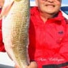Yong Chi of Dallas nabbed this 24 inch red fishing live shrimp.