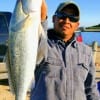 Robert Aquirrie of Houston took this 26 inch speck on a live pogey shad.