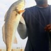 Branden Johnson SR of Houston nabbed this 24 inch red after it pulled his rod overboard where another anglers retrieved it only to find the redfish still hooked.