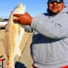 Oscar Lopez of Houston caught this 30 inch tagger red on cut croaker.