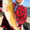 Johnny Eddings of Porter, TX hefts a 39 inch red caught on mullet.