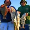 Juan Luna and Jose Gonzalez of Reynosa, MX boxed these drum, redfish  and flounder on shrimp.