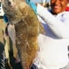 Wanda Newling of Houston caught and released this huge drum on shrimp.