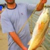 Karim Belmejdoub from Morocco nabbed this 31inch tagger red on finger mullet.