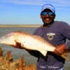 Cornell Wheller of Houston nabbed this 34 inch post front tagger red on live shrimp.