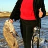 Norma Almaraz of Pasadena, TX wrastled this huge drum to the bank fishing shrimp- then released it- BRAVO NORMA!!