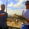 Jimmy Fluke and Mabieo Alawar of Galveston landed and released this 35 inch Bull drum while fishing shad.