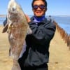 Mung Pham of Houston  caught and released this 36 inch drum caught on shrimp.