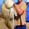 Pat Bunyard of  Tarkington Prairrie, TX caught and released this HUGE drum while fishing  shrimp.