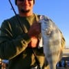 Former Marine Paul  Berut of Silsbee, TX caught this nice drum fishing a miss nancy  shrimp.