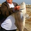 Poochie Walker of  League City TX grappled with this huge drum then released it.