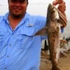 Chad Noska of Weimer,  TX nabed this nice Gafftop catfish fishing live croaker.