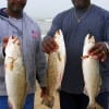 Fishing buds James Harris and Brian Denton of Humble, TX nightfished plastics for these 4 to 5 lb specks.