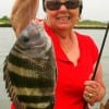 Judy Howard of Roanoke, TX  caught this nice sheepshead on shrimp.