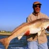 Fishing 15 lb test mono Willis FRED Williams of Missouri City,TX caught and released this HUGE 45 inch Bull Red while fishing cut bait.