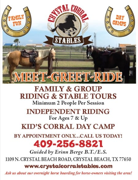 Crystal Corral Meet Greet Ride Crystal Beach Local News Get The Latest Scoop On Bolivar Peninsula Texas Resort Community On The Gulf Of Mexico,Jackson Chameleon Care