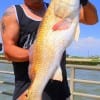IMG_0363-Hawian angler Abe Purugganan of Spring TX took this 39inch tagger bull red on mullet-