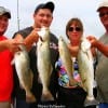 The Trout Touristas of Spring TX night fished for these impressive specks.