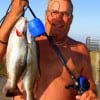 The Menace- Baker of High Island, TX waded the early surf with a mirror lure for these menu item trout.