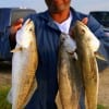 Paul Dever of Houston night-fished with sassy shads for these nice specks.