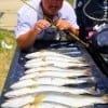 Old River, TX angler Louis Rodriguez fished a Rat-L-Trap of his personal design to catch these 9 specks and one flounder