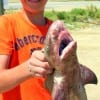 Dakota DeYoung of Winnie, TX landed this 3ft Bull Shark he caught on live croaker