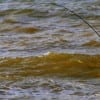 Surf Wader Ricky Tribble of Winnie, TX fights a good trout